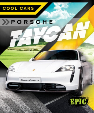 Porsche Taycan - Thomas K Adamson