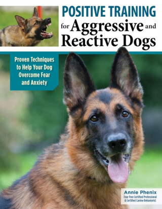 Positive Training for Aggressive & Reactive Dogs - Annie Phenix
