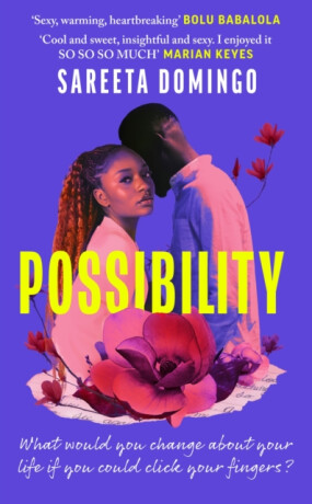 Possibility - Sareeta Domingo