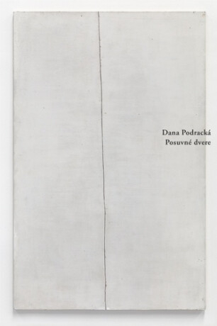 Posuvné dvere - Dana Podracká