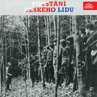 Povstání českého lidu - 