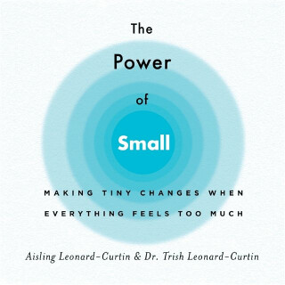 Power of Small - Aisling Leonard-Curtin,Trish Leonard-Curtin