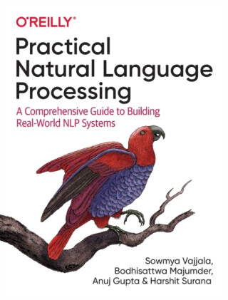 Practical Natural Language Processing - Anuj Gupta,Sowmya Vajjala,Harshit Surana,Bodhisattwa Majumder