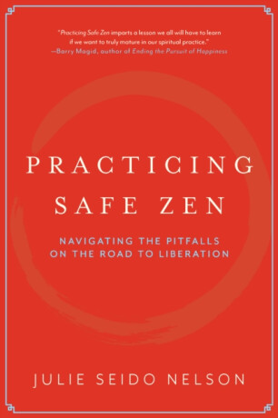 Practicing Safe Zen - Julie Seido Nelson