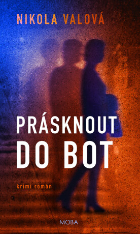 Prásknout do bot  - Nikola Valová