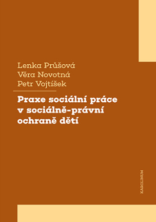 Praxe sociální práce v sociálně-právní ochraně dětí - Věra Novotná,Lenka Průšová,Petr Vojtíšek