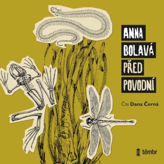 Před povodní - Anna Bolavá