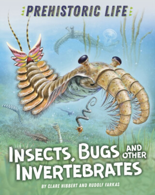 Prehistoric Life: Insects, Bugs and Other Invertebrates - Clare Hibbert