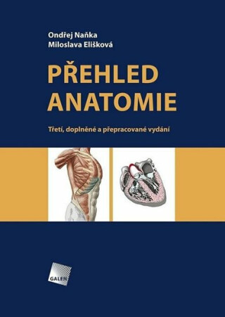 Přehled anatomie - Ondřej Naňka