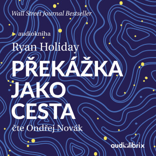 Překážka jako cesta - Ryan Holiday