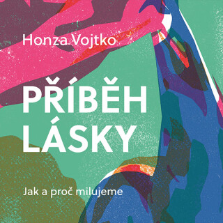 Příběh lásky - Honza Vojtko