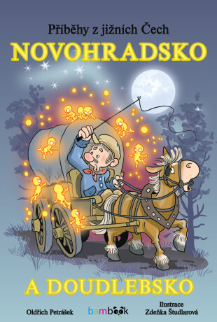 Příběhy z jižních Čech - Novohradsko a Doudlebsko - Zdeňka Študlarová,Oldřich Petrášek