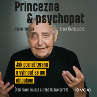 Princezna a psychopat - Radkin Honzák,Klára Mandausová