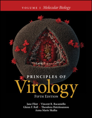 Principles of Virology, Volume 1 - Anna Marie  Skalka,Vincent R.  Racaniello,Theodora  Hatziioannou,Jane  Flint,Glenn F.  Rall