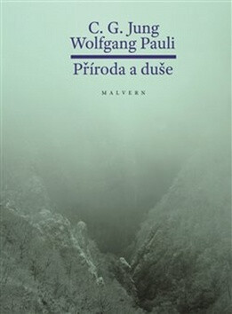 Příroda a duše - Carl Gustav Jung,Wolfgang Ernst  Pauli
