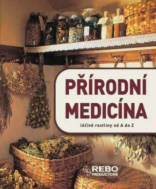 Přírodní medicína - Anne Iburg