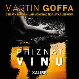 Přiznat vinu - Martin Goffa