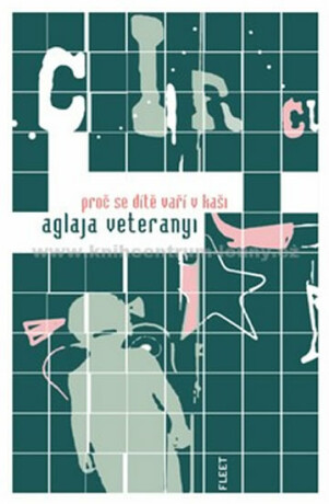 Proč se dítě vaří v kaši - Aglaja Veteranyi