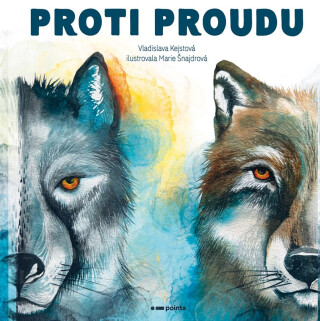 Proti proudu - Vladislava Kejstová