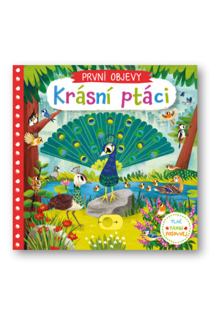 Krásní ptáci - Chorkung