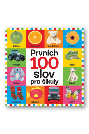 Prvních 100 slov pro šikuly - neuveden