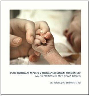 Psychosociální  aspekty v současném  českém porodnictví - 
