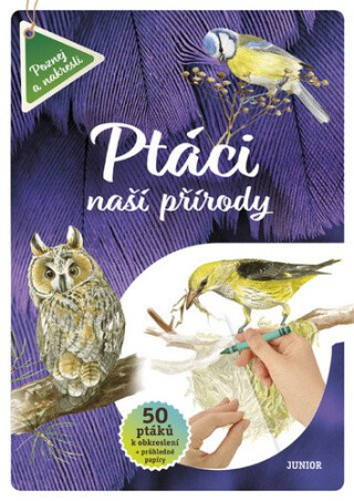 Ptáci naší přírody - Kolektiv