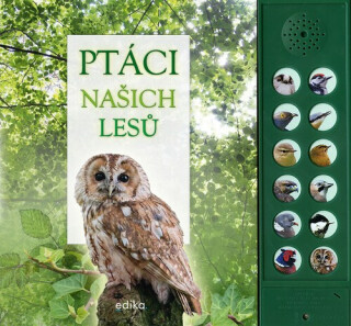 Ptáci našich lesů - Andrea Pinningtonová,Caz Buckingham