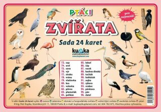 Sada 24 karet Ptáci - Petr Kupka