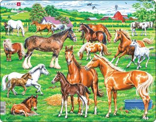 Puzzle Koně - 