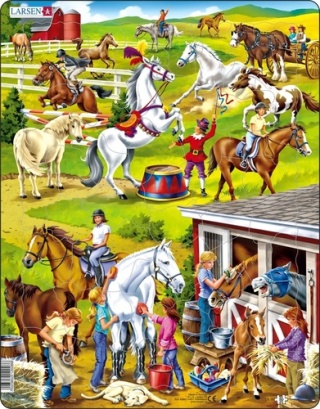 Puzzle Koně - jezdectví - neuveden