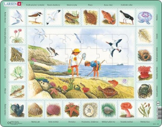 Puzzle MAXI - Život u moře/48 dílků - neuveden