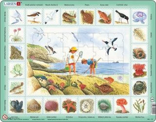 Puzzle Příroda: Život u moře - neuveden