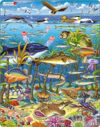 Puzzle MAXI - Zvířata v moři/60 dílků - neuveden