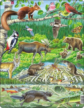 Puzzle MAXI - Zvířátka v lese/45 dílků - neuveden