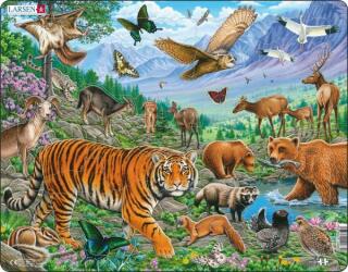 Puzzle MAXI - Amurský tygr v sibiřském létě/36 dílků - neuveden
