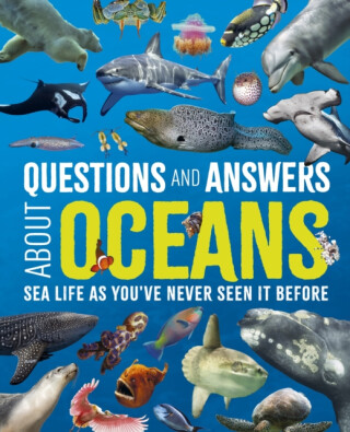 Questions and Answers About Oceans - Claudia Martin,Felicity Forster