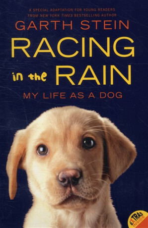 Racing in the Rain - Garth Stein