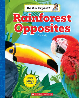 Rainforest Opposites (Be an Expert!) - 