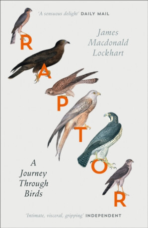 Raptor - James Macdonald Lockhart
