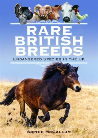 Rare British Breeds - Sophie McCallum