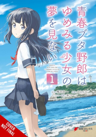 Rascal Does Not Dream of a Dreaming Girl (manga) - Cunningham Andrew,Brandon Bovia,Hajime Kamoshida,Keji Mizoguchi,ERRANT