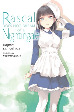 Rascal Does Not Dream of a Nightingale (light novel) - Cunningham Andrew,Hajime Kamoshida,Keji Mizoguchi
