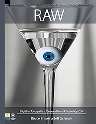RAW - digitální fotografie v Camera Raw a Photoshop CS4 - Bruce Fraser,Jeff Schewe