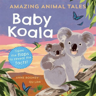 Reception/Primary 1: Amazing Animal Tales: Baby Koala - Anne Rooneyová
