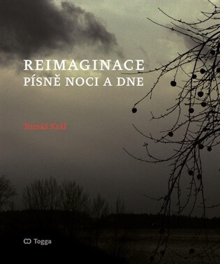 Reimaginace - Tomáš Král