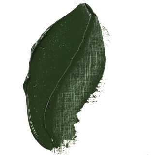 Rembrandt olej 40ML Green Earth 629 - 