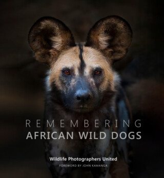Remembering African Wild Dogs - 