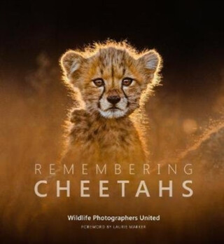 Remembering Cheetahs - 