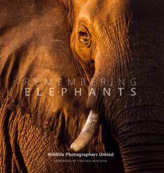 Remembering Elephants - 